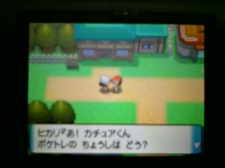 �_�C���p�[���̉摜