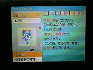 �_�C���p�[���̉摜